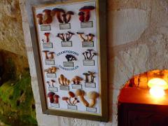 149 MUSEE DU CHAMPIGNON A  SAUMUR 2016 1_000018